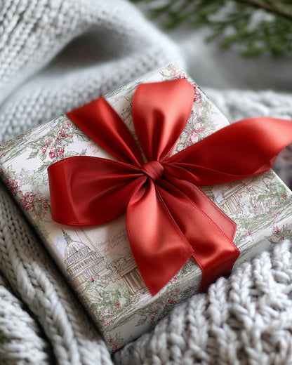 Washington DC Christmas Wrapping Paper - Charles Alex